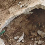 5CE72276 F333 4F75 B741 6B247C409106