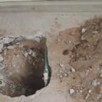 D0A2D5D2 8F2A 49DB AF93 E5028A761EC2