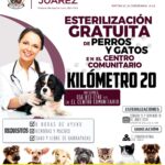 F0ACCD86 53B8 49BE 9C04 31884871D74B