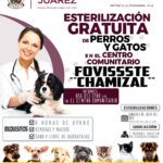 Esterilizarán mañana a perros y gatos en Fovissste Chamizal 1 83A3825A BE14 4CD3 B766 94EB3B9CCBB4