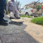 Imagen de WhatsApp 2024 07 25 a las 10.47.31 e5d9c445