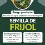 Imagen de WhatsApp 2024 07 30 a las 12.45.19 c2948fd3