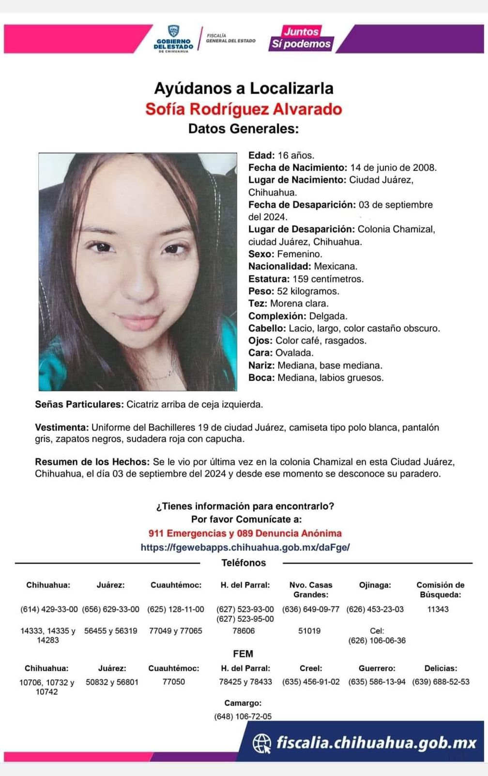 WhatsApp Image 2024 09 03 at 19.58.16