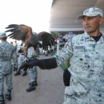 670046a9f15ae 670046a9f15af