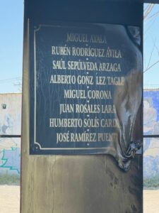 WhatsApp Image 2024 10 28 at 11.47.12