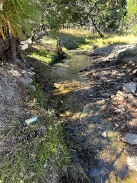 Turismo y Contaminación en la Sierra Tarahumara 6 5