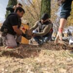 5259228e e15e 4f12 b8b8 579f1798d0a0