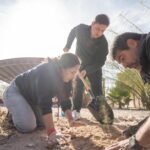 56083095 66a0 4b17 8628 2c3e933c6fac