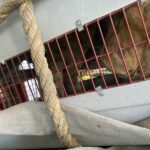 673b783d9283a 673b783d9283b