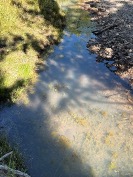 Turismo y Contaminación en la Sierra Tarahumara 8 7