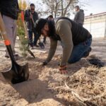 98720c3a 758d 4185 b8d8 d7792a23a99a