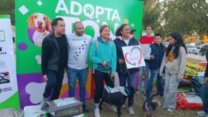 Adopta-Ton 2024: Ciudad Juárez se pone verde con adopciones y toneladas de ayuda para mascotas 11 Adoptaton 1