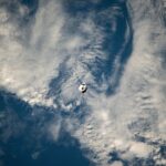 Imagen de WhatsApp 2024 11 08 a las 12.16.51 77e44c06