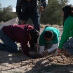 d7a12db9 4456 4498 a46f 7ff51c006cce