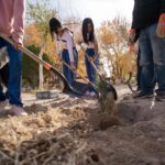 f062c2a4 4a5f 4de4 b5b8 0ec6122ace7b