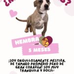 6781645fad214 6781645fad215