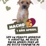 67816463d6436 67816463d6438