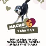 6781646427595 6781646427597