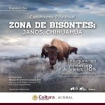 67a51fc94fbb2 67a51fc94fbb3