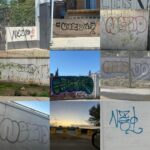 1061a502 776c 420d 8de9 7c5d0f28f2b8