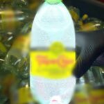 WhatsApp Image 2025 03 10 at 11.52.55 2