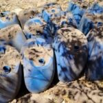 Aseguran 1,289 armas de fuego y 22.293 kg de drogas durante la “Operación Frontera Norte” 1 WhatsApp Image 2025 03 13 at 10.16.05