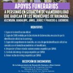 WhatsApp Image 2025 03 13 at 13.10.07