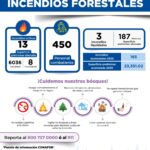 WhatsApp Image 2025 03 21 at 10.39.37