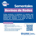 WhatsApp Image 2025 04 14 at 10.40.24