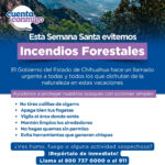 WhatsApp Image 2025 04 16 at 10.21.37