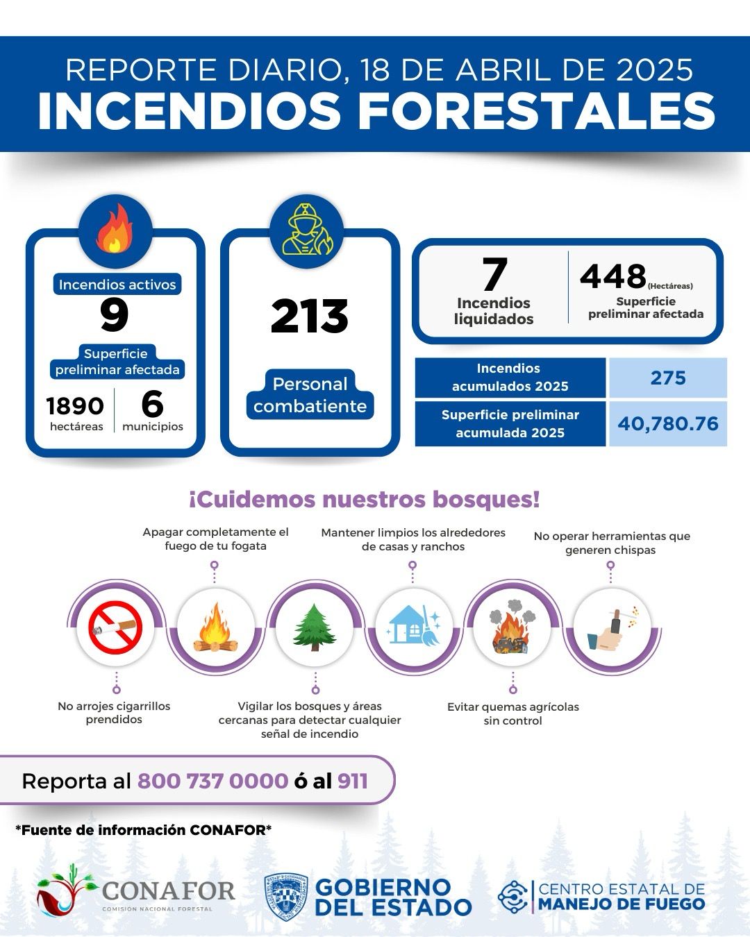 Se registraron 9 incendios forestales activos en el estado 1 WhatsApp Image 2025 04 18 at 11.29.01