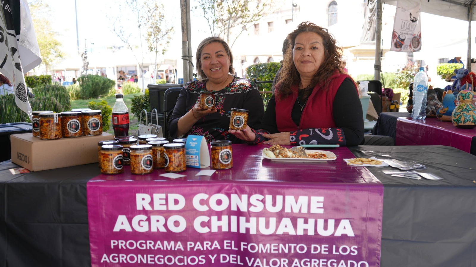Invita SDR a la convocatoria 2025 del Programa para el Fomento de los ...