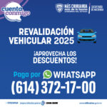 WhatsApp Image 2025 04 29 at 15.43.53