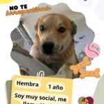 6836217346b42 6836217346b44