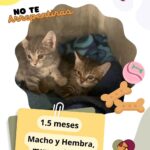 68362173493ef 68362173493f0