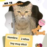 6836217356eb7 6836217356eb8