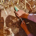 Purificadora se robaba el agua para venderla 2 WhatsApp Image 2025 05 23 at 12.05.26 2