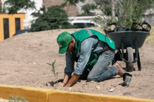 WhatsApp Image 2025 05 31 at 18.20.25