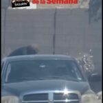 68431d477c1d6 68431d477c1d8