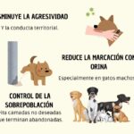 6849d90f7be33 6849d90f7be34