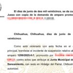 WhatsApp Image 2025 06 11 at 13.07.01