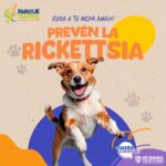 WhatsApp Image 2025 06 16 at 15.02.28