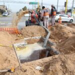 WhatsApp Image 2025 06 17 at 15.55.16