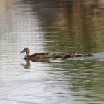 WhatsApp Image 2025 06 18 at 14.45.36