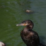 Recibió Parque Central más de 12 mil asistentes el fin de semana 1 WhatsApp Image 2025 06 23 at 11.45.37 1