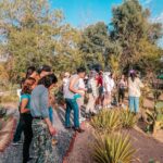 Recibió Parque Central más de 12 mil asistentes el fin de semana 6 WhatsApp Image 2025 06 23 at 11.45.38 3