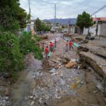 WhatsApp Image 2025 06 27 at 15.24.45 2