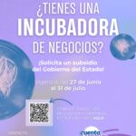 convocatoria20incubadoras28129