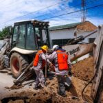 0ebb07e5 8422 44c5 b993 0ce3fe0756fa