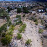 33ac7298 6980 4149 9cf0 88cc7f1fe248